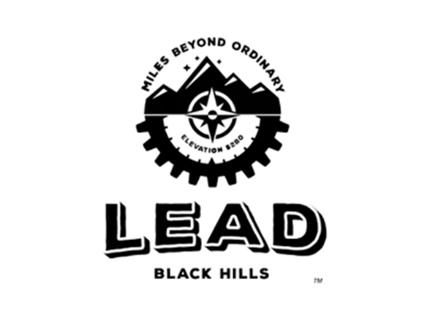 Black and white logo of LEAD School. The logo features a stylized open book beneath a torch with rays, and the words "LEAD" and "School of School" written below.